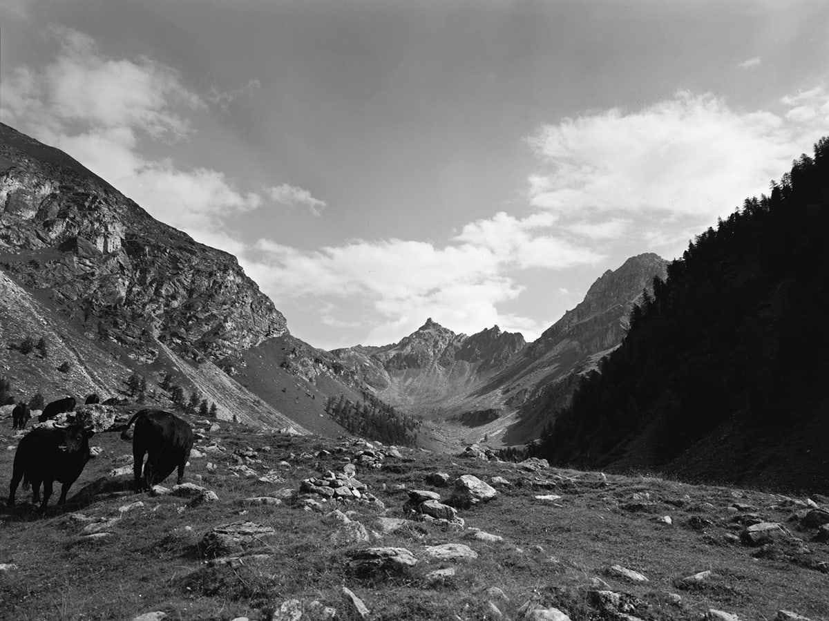 Alpine Landscape VII