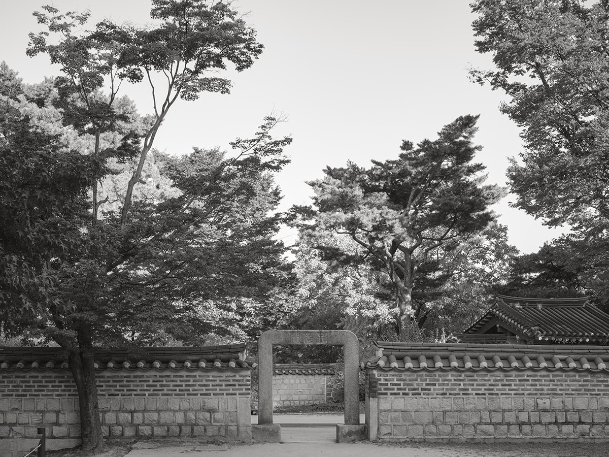 Royal Palaces of Seoul XVIII