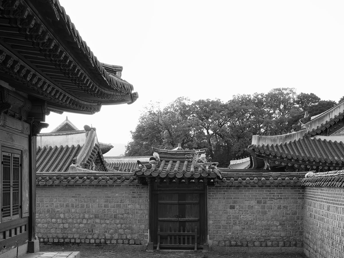 Royal Palaces of Seoul XIV