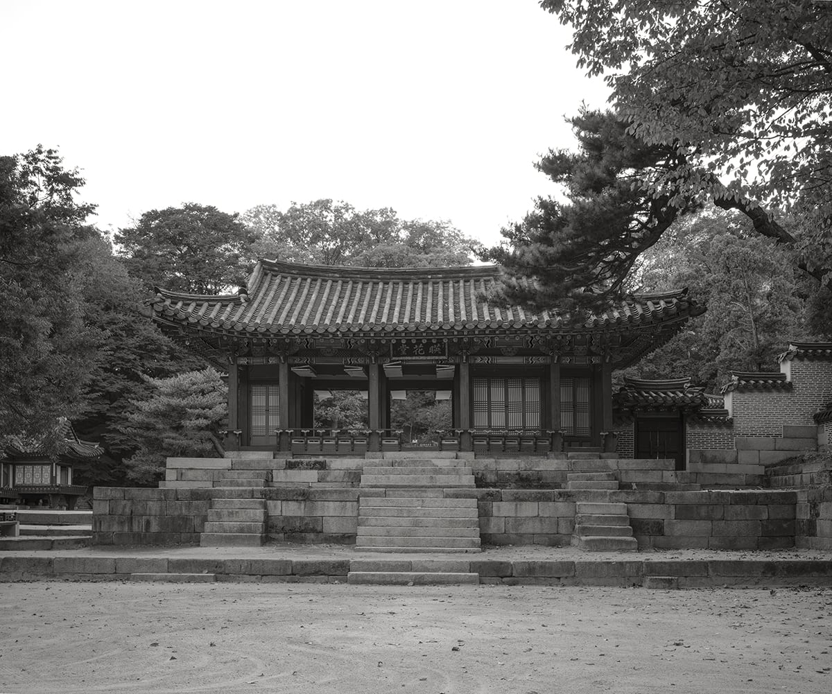 Royal Palaces of Seoul XXV