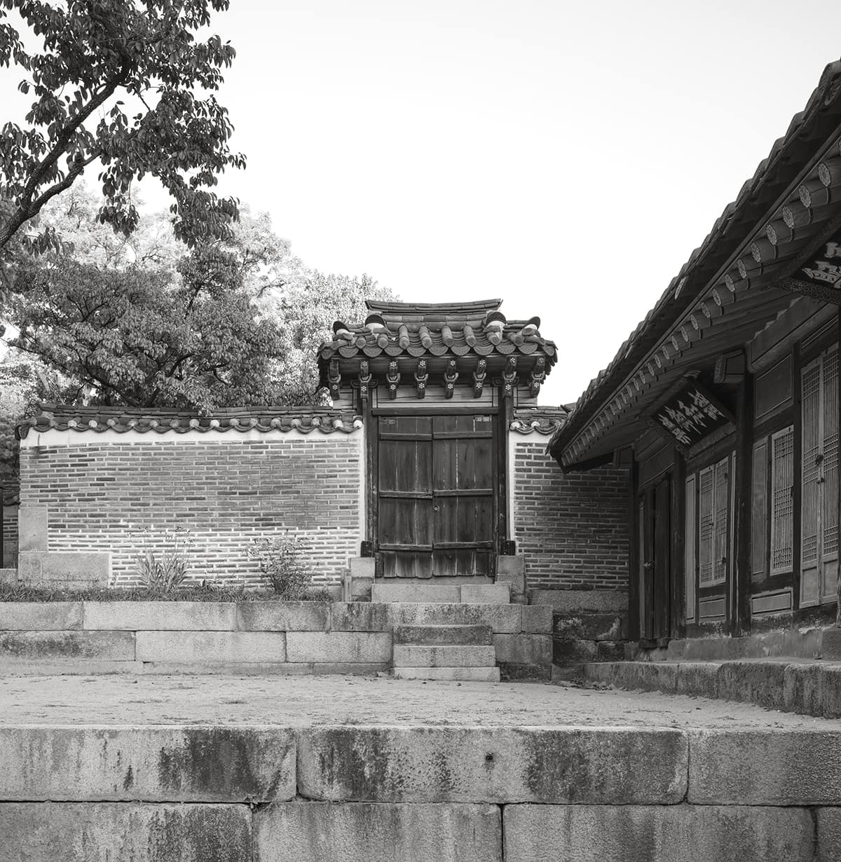 Royal Palaces of Seoul XLVIII