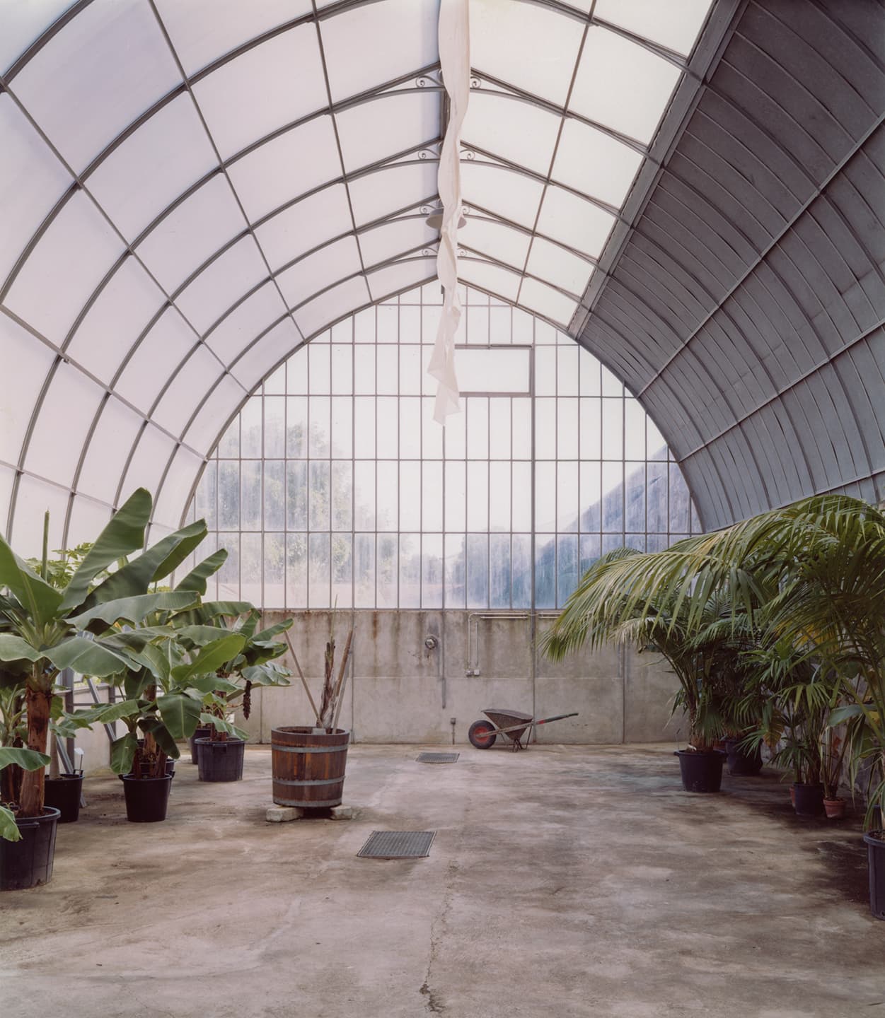 Rothchild's Greenhouse I (Geneva)
